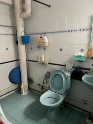 Blk 276 Ficus Vale (Yishun), HDB 4 Rooms #633748501
